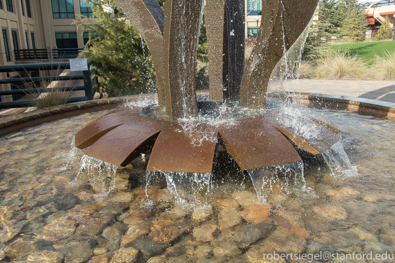 stanford fountains